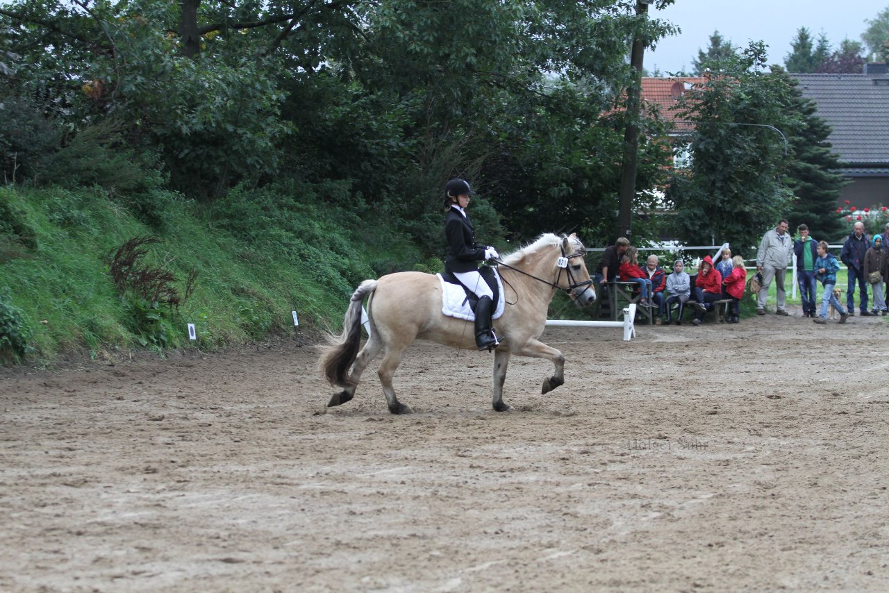 Bild 448 - WBO-Turnier am 18.9.11
